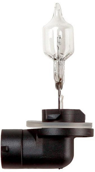 Halogenlampe (x10)