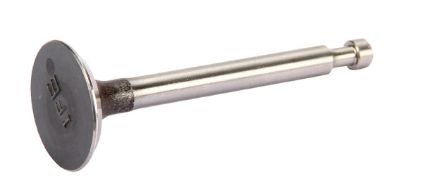 Honda Einlassventil 14711-ZF0-010