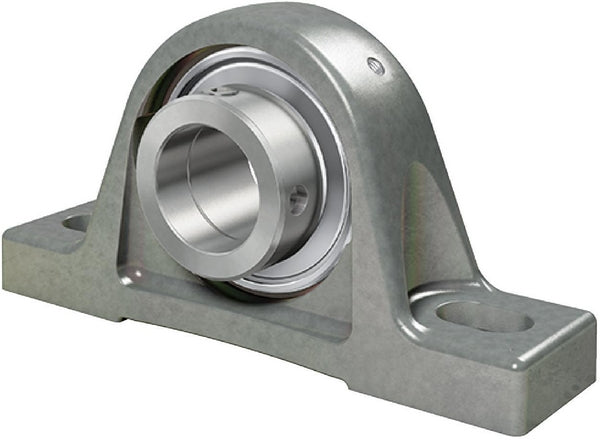 INA Lagerblock Corrotect RASE30-N-FA125