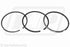 Kolbenringsatz (+0,50 mm) passend für Ford New Holland 87802359