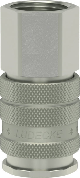 Lüdecke Schnellkupplung IG BSP 1/4"