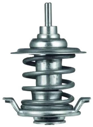 Mahle Thermostat