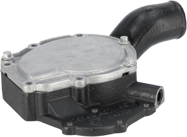 Manitou Wasserpumpe