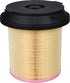 MANN-FILTER Luftfilterelement C 29 010 KIT