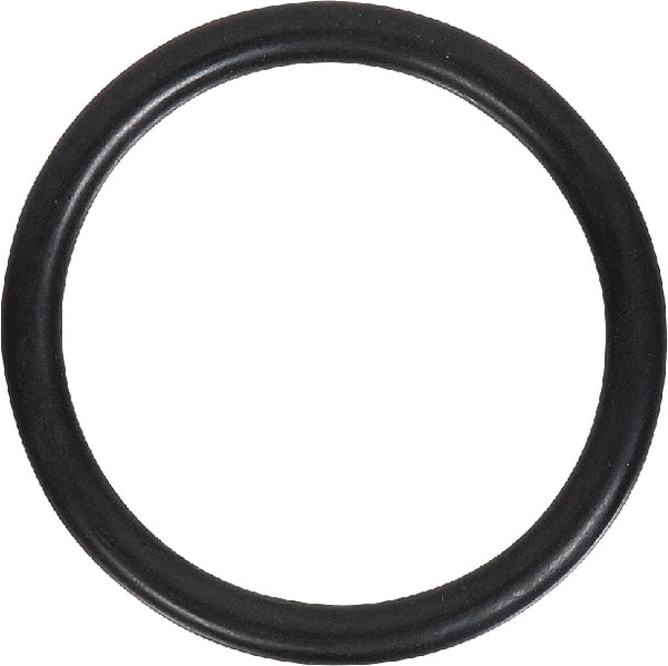 Massey Ferguson (AGCO) Dichtung Thermostat