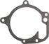 Massey Ferguson (AGCO) Dichtungen Wasserpumpe