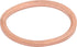 Massey Ferguson (AGCO) O-Ring für Wasserpumpe