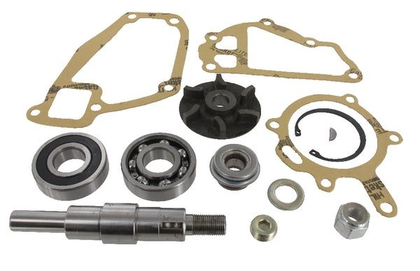 Massey Ferguson (AGCO) Reparaturset Wasserpumpe