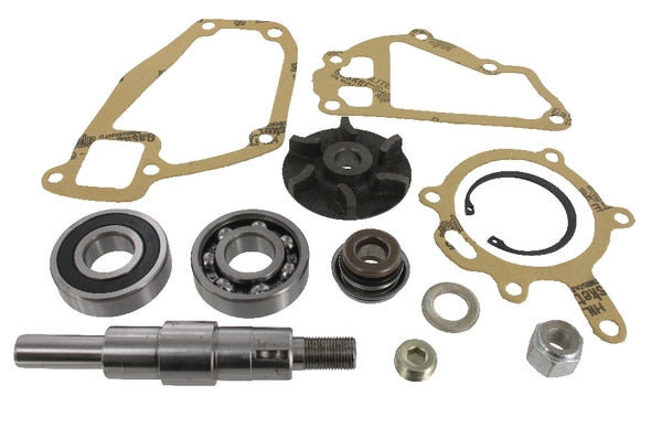 Massey Ferguson (AGCO) Reparaturset Wasserpumpe