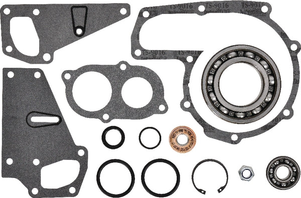 Massey Ferguson (AGCO) Reparaturset Wasserpumpe