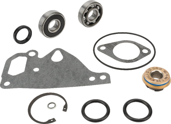 Massey Ferguson (AGCO) Reparaturset Wasserpumpe