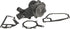 Massey Ferguson (AGCO) Wasserpumpe