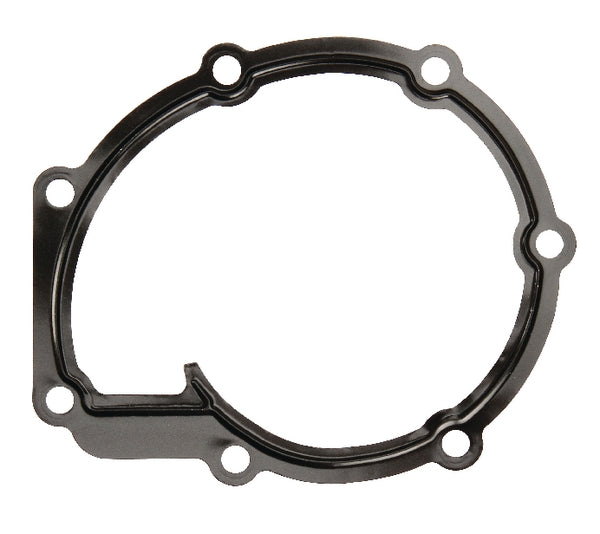 Massey Ferguson (AGCO) Wasserpumpendichtung
