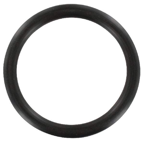 O-Ring Gloria 627070