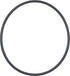 Raico O-Ring