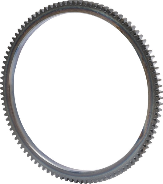 Raico Schwungradzahnkranz 311/315