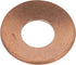 Raico Sicherungsring