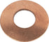 Raico Sicherungsring