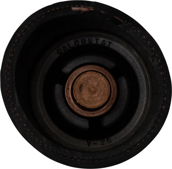 Raico Thermostat