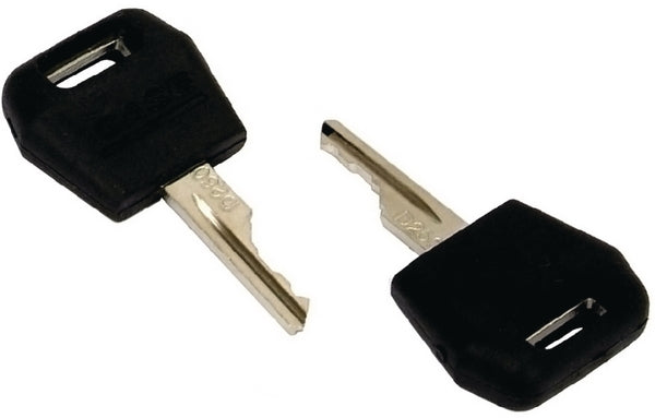 Schlüssel, Zündschalter (x2)