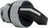 Schneider-Electric Wahltaste rastend 0 1