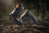 Schnittschutzstiefel, Größe 50/UK 50, Schwarz/Orange, Eco Hunter Basic, Lupriflex, 1 Paar