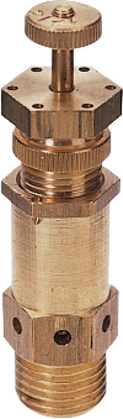 Sicherheitsventil