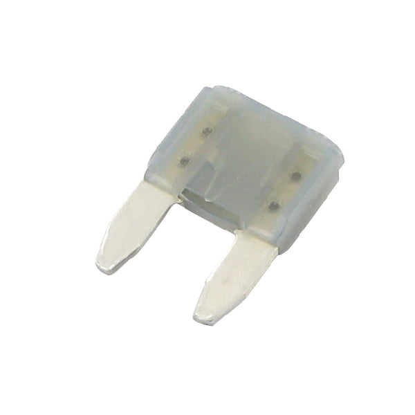 Sicherung, Stecksicherung, Mini, 2A, Schwarz, 16.3mm, 50Stk., iMaXX