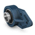 SKF Lagereinheit