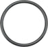 Solo O-Ring 10697