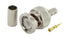Stecker BNC Male RG58