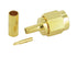 Stecker SMA Male RG174