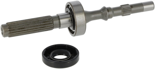 Tuff Torq Pumpenwelle/Lager Satz 1A646099970
