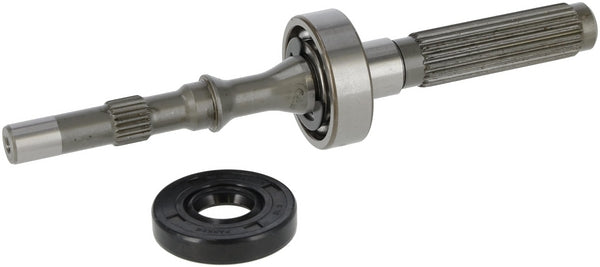 Tuff Torq Pumpenwelle/Lager Satz 1A646099970
