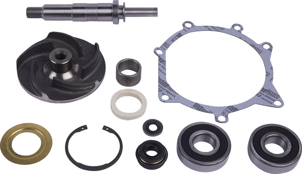 Wasserpumpen Rep.Satz passend für Massey Ferguson 9900193