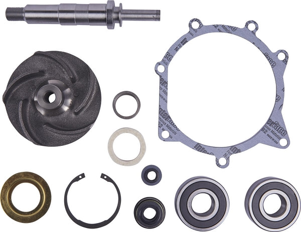 Wasserpumpen Rep.Satz passend für Massey Ferguson 9900193