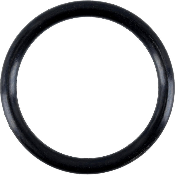 Zetor Dichtring